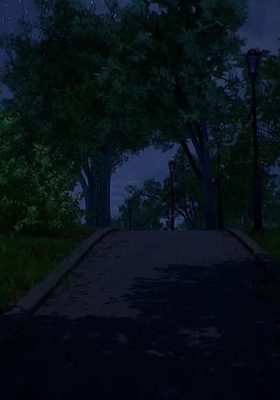 Póster de S01:E02 - City Park Night
