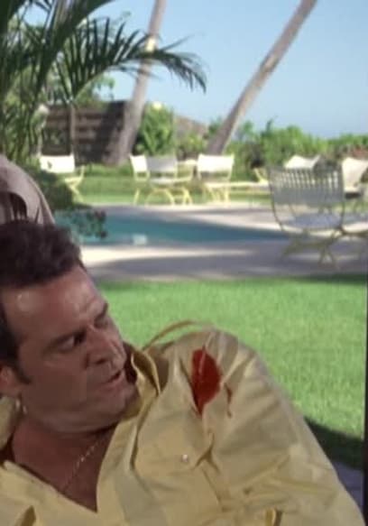 S06:E08 - The Hawaiian Headache poster
