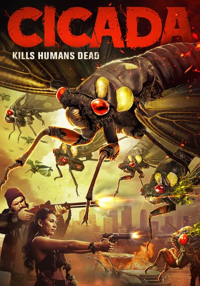 Cicada