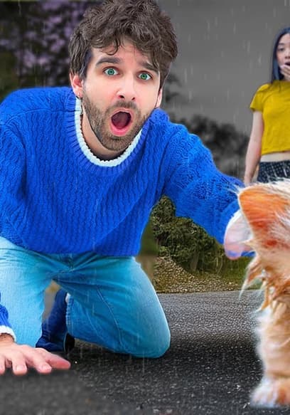 S01:E07 - Kitten Rescued From Coyote poster