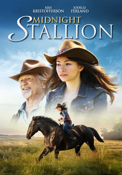 Midnight Stallion