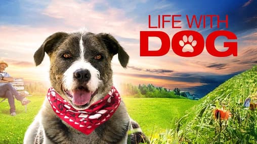 Animal Rescue Love To The Rescue Hallmark Watch Online Watch Life