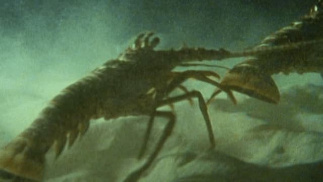 S01:E03 - Enjambres asombrosos (Pt. 1)