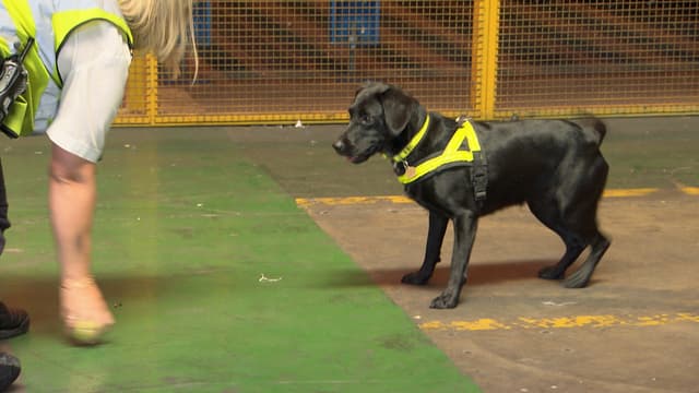 S02:E05 - Follow Your Nose