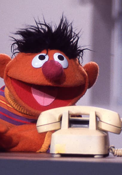 S01:E01 - Gordon Introduces Sally to Sesame Street poster