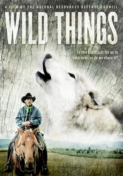 Wild Things poster