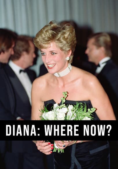 Diana: Where Now? poster