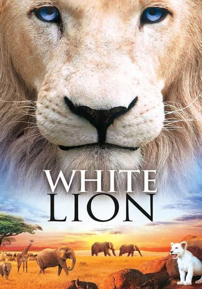 White Lion