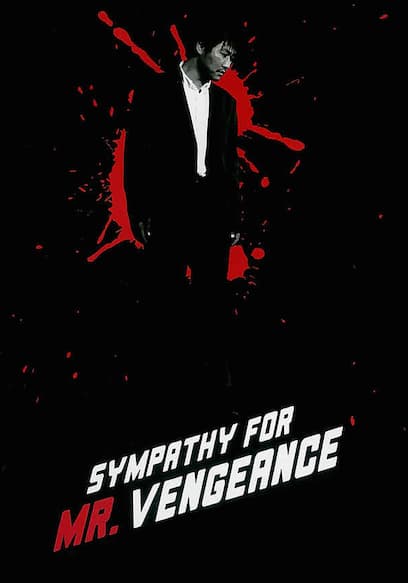 Sympathy For Mr. Vengeance