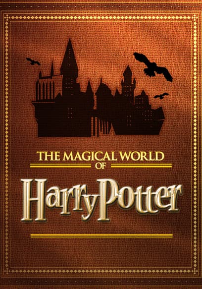 The Magical World of Harry Potter poster