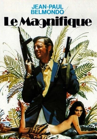 Le Magnifique poster