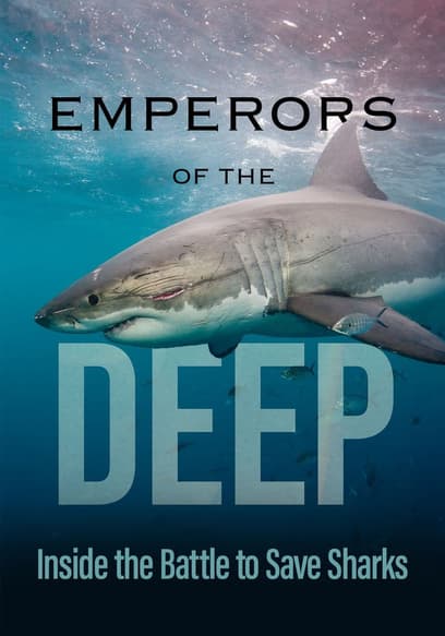 Emperors of the Deep: Inside the Battle to Save Sharks poster