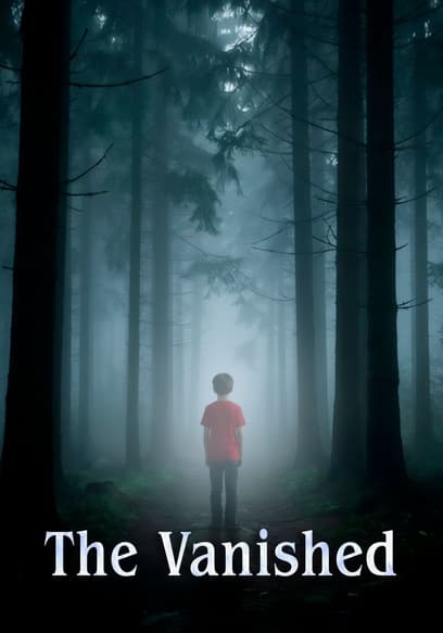 The Vanished poster