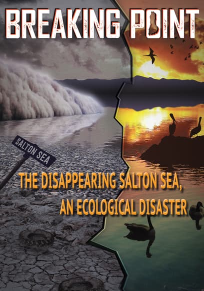 Breaking Point: The Disappearing Salton Sea, an Ecological Disaster