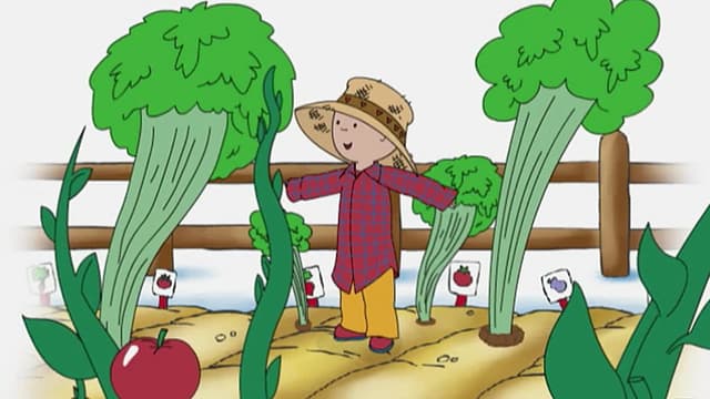 S04:E15 - Shoo, Shoo Bird, Fly Away! // Caillou's Road Trip // Caillou and the Dragon