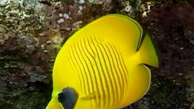 S01:E21 - The Red Sea