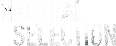Natural Selection