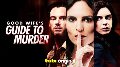 Amazon Prime The Good Wife Streaming Online Watch Good Wife's