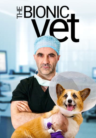 The Bionic Vet