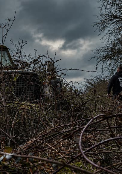S01:E14 - The Abandoned Site Filled With Rare Classic Cars poster