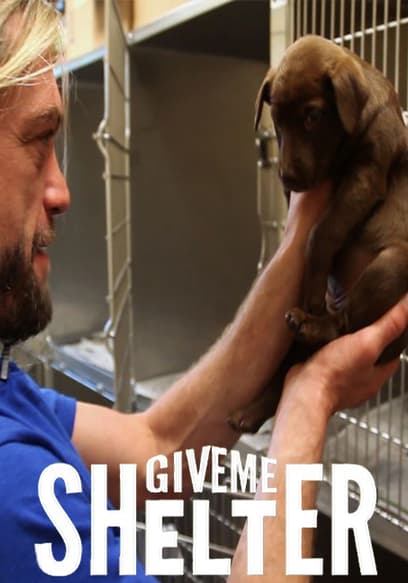 S01:E11 - Welcome to the World (Pt. 2)