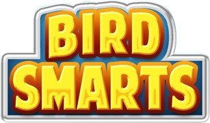 Bird Smarts