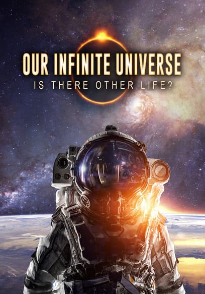 Our Infinite Universe: Is There Other Life?