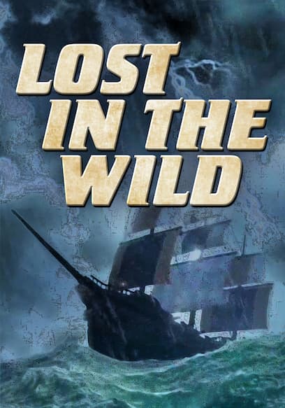 Lost in the Wild