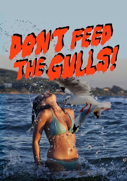 Don't Feed the Gulls!