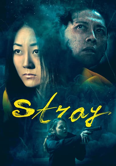 Stray