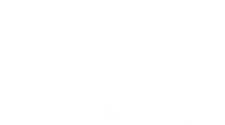 The Visitor
