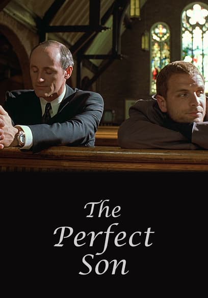 The Perfect Son
