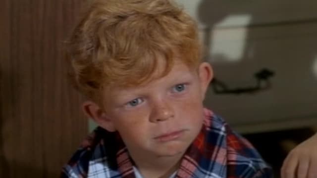 S02:E29 - The Baby Sitters