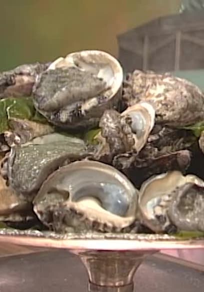 S07:E22 - Abalone poster