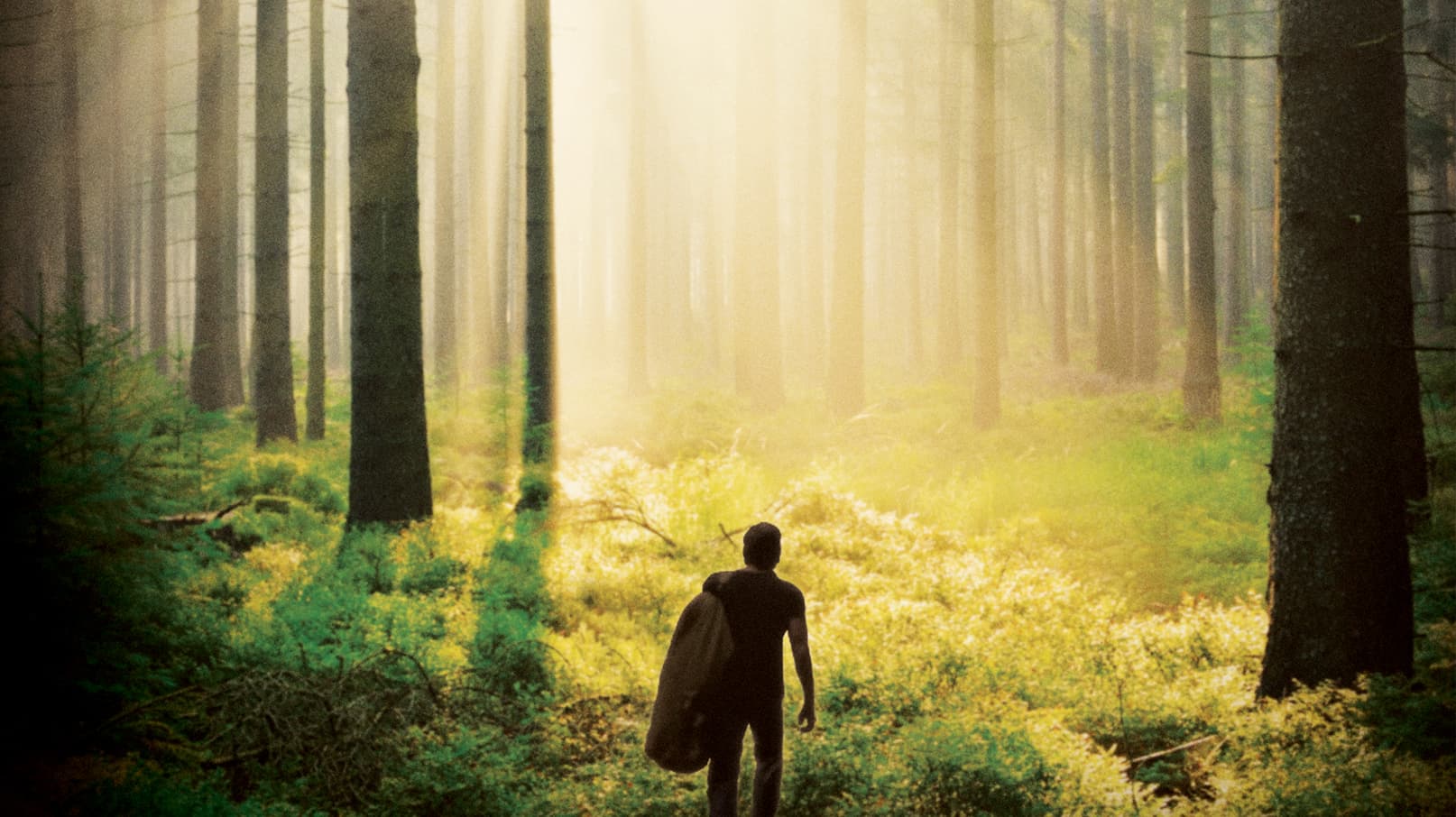 poster background