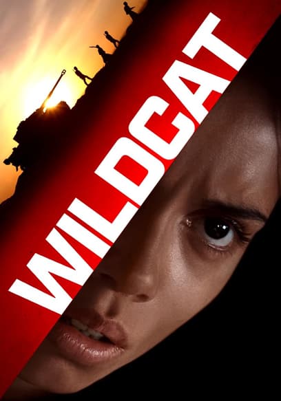 Wildcat