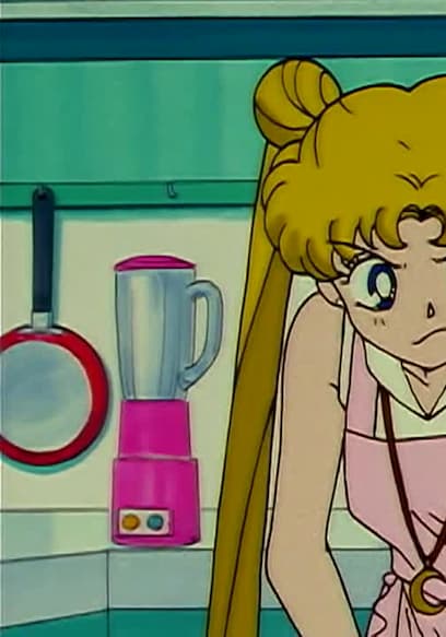 S02:E20 - Usagi’s Parental Love: the Curry Romance Triangle poster