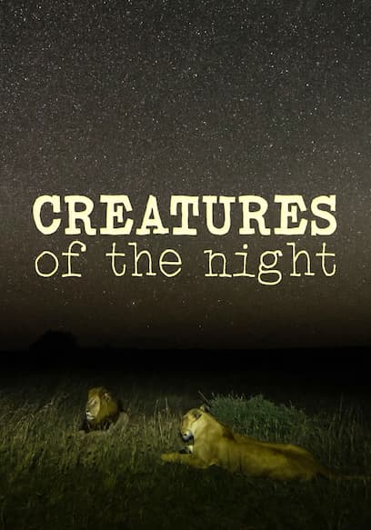 Creatures of the Night