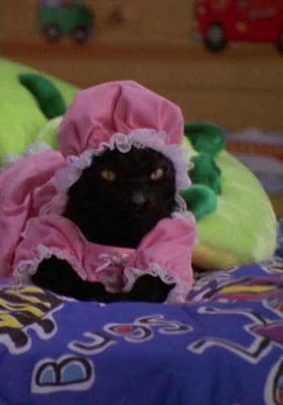 S01:E11 - A Girl & Her Cat poster