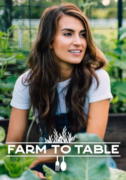 S01:E03 - A Season for Everything