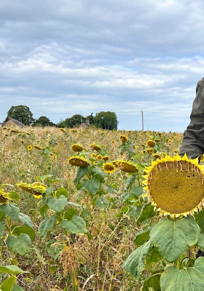 Póster de S01:E01 - Rain, Sunflowers & the Future of Farming
