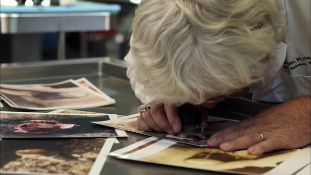 S07:E02 - Aliens in America