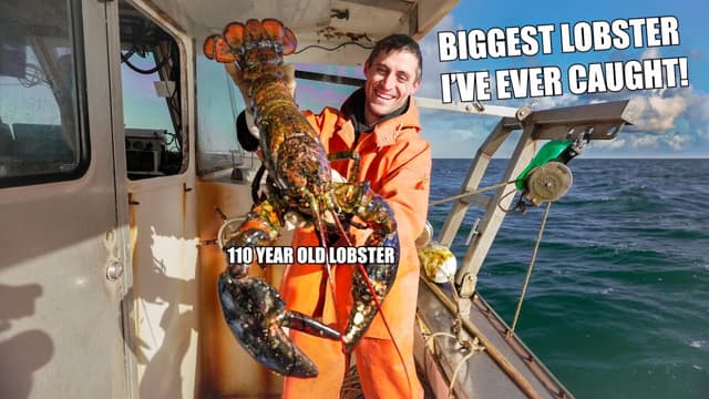 S01:E01 - Massive Maine Lobster! (100 Years Old?!)