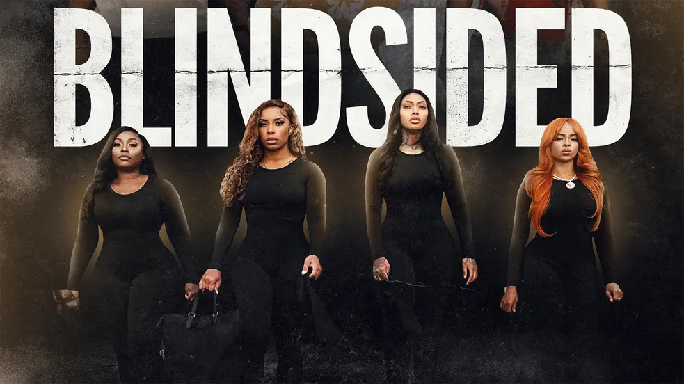 Blindsided provider artwork