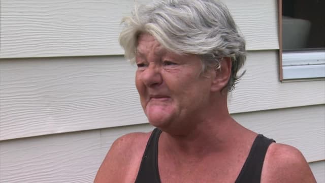 S31:E12 - Slow and Low