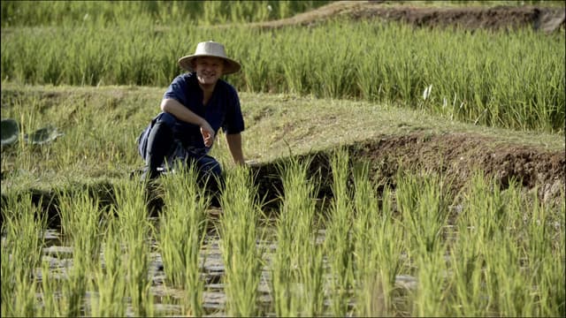 S01:E02 - Chiang Mai & Venice