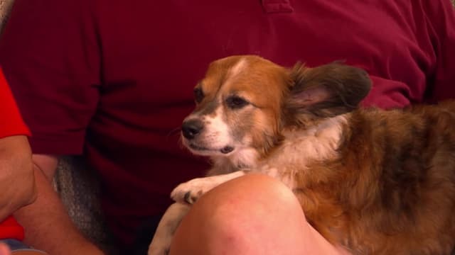 S02:É06 - S02:E06 - Naughty Rotties