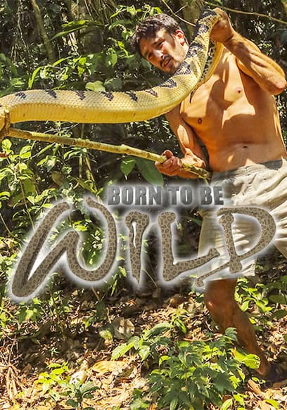 S01:E01 - Amazon Encounters