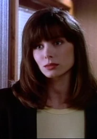 S13:E22 - Little Girl Lost poster