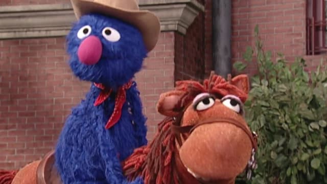 S36:E16 - Rock Sitter for Rocco